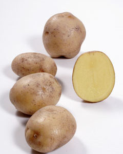 Kartoffeln online kaufen – Kartoffelsorte Granola. Rundliche, hellfleischige Kartoffel mit brauner Schale vom Gut Rosenhof.