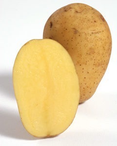 Kartoffel Marabel – Gelbfleischige Kartoffel mit brauner Schale vom Gut Rosenhof.